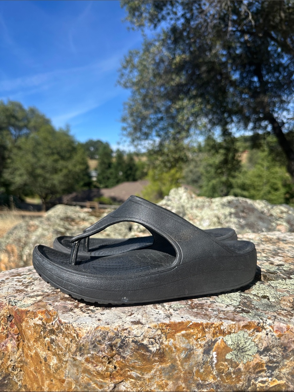 Black Chunky Platform Flip Flop Sandals